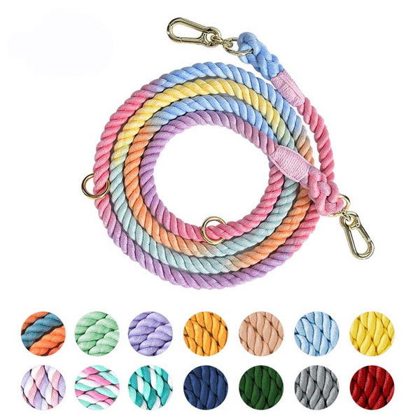 Rainbow Hands Free Dog Leash