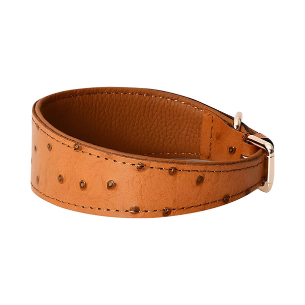 Extra Wide Leather Dog Collar